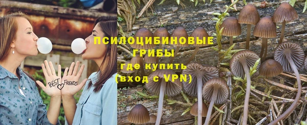 винт Козловка
