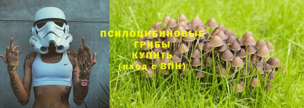 ПСИЛОЦИБИНОВЫЕ ГРИБЫ Абинск