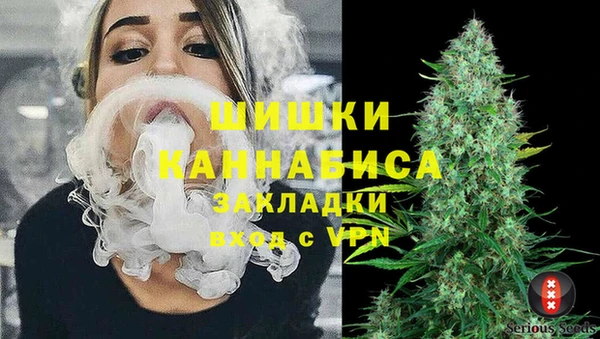 дурь Карпинск